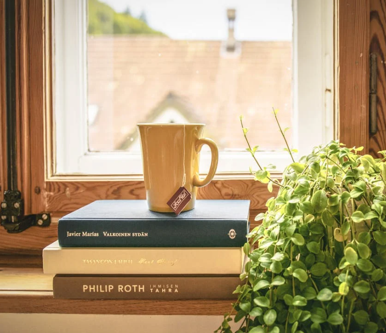 Self-Publishing vs Traditional Publishing in Singapore: Choosing the Right Path for Your Book